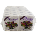 Blossom 2ply 250 Sheets Toilet Paper Rolls