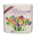 Blossom 2ply 250 Sheets Toilet Paper Rolls