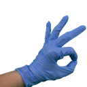 Blue Vinyl Gloves - Powder Free, Disposable