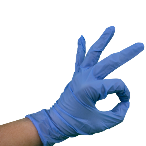 Blue Vinyl Gloves - Powder Free & Disposable