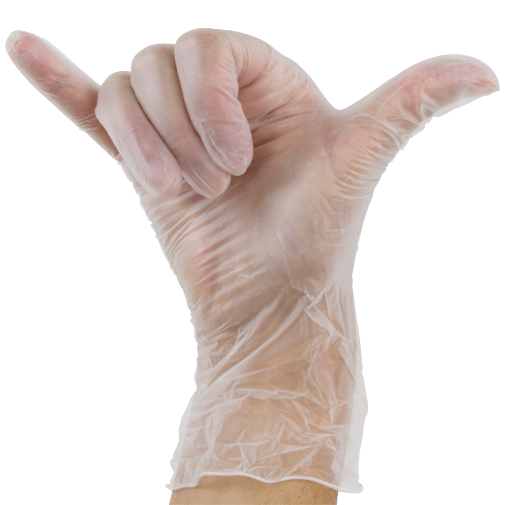 Clear Vinyl Gloves, 42% OFF